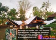Hujan Lebat disertai Angin Kencang Tumbangkan Enam Rumah Dan Kandang