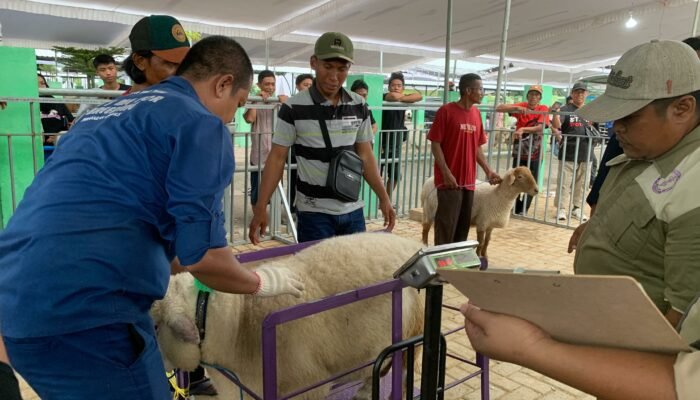 Pemkab Bojonegoro Gelar Kontes dan Pameran Ternak