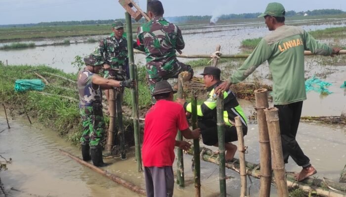 Babinsa Koramil Baureno Bojonegoro bantu Perbaiki Tanggul Jebol di Kali Simo Sumuragung