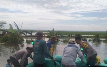 20 Hektar Sawah Petani Di Desa Kedungprimpen Kecamatan Kanor Tergenang Air