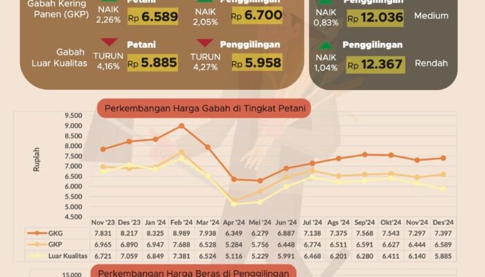 Harga Gabah Kering dan Beras Premium di Jatim Naik
