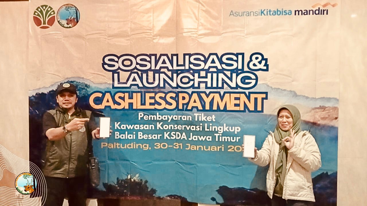 8794ee55 C6c3 4c03 Bac8 C89afcbb4920