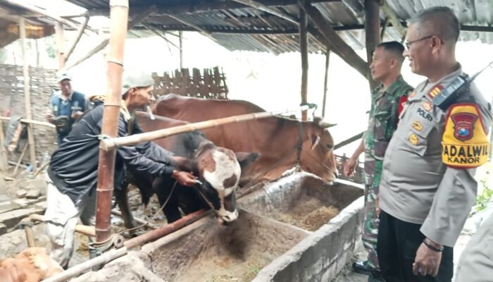 Kapolsek kanor terjun langsung sosialisasi pencegahan PMK