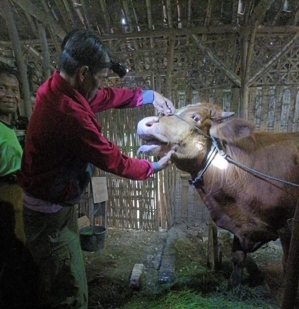 96d16642 A368 4ba9 A191 B498063b889c