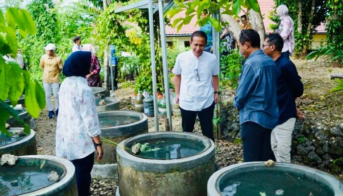 Upaya Pemkab Bojonegoro dalam Meningkatkan Ketahanan Pangan Melalui Buis Beton Lele