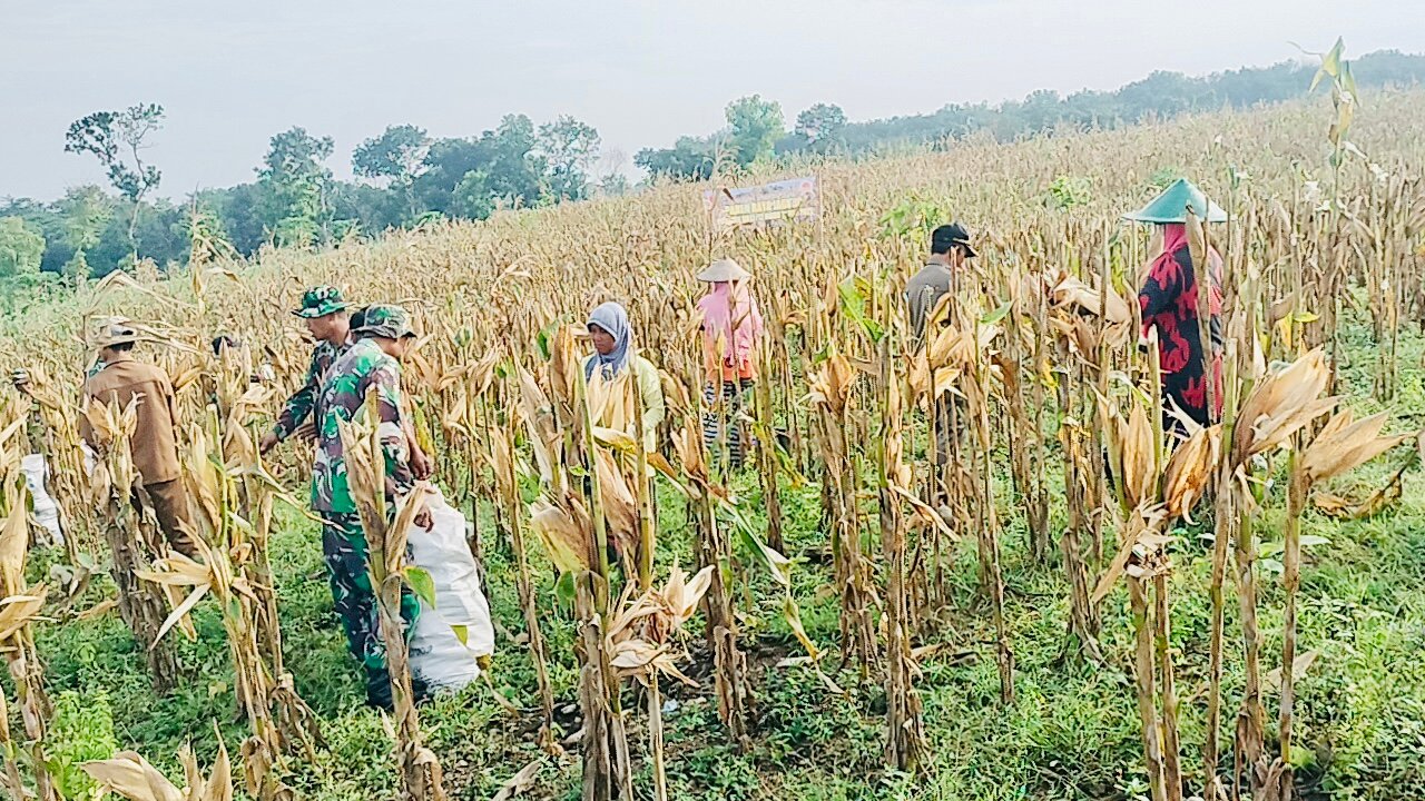 2dfe5cbd 4462 41e8 978a Ddce69178a26