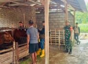 Koramil Ngimbang Melaksanakan Pendampingan Pemeriksaan Hewan Ternak