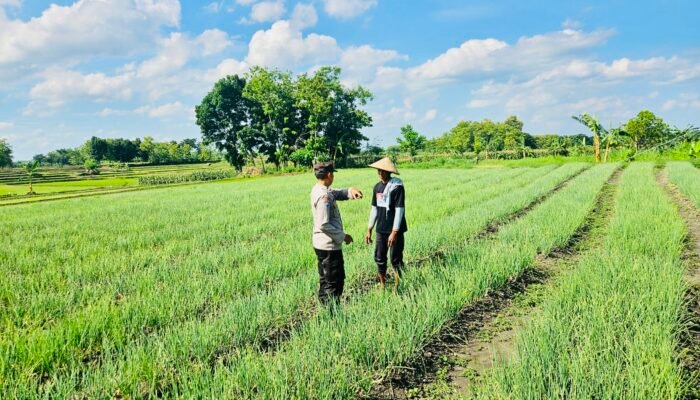 Bhabinkamtibmas Polsek Kedungadem Patroli Dialogis di Tengah Petani