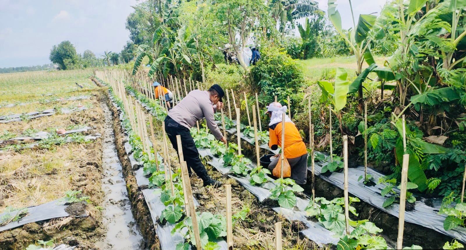 Ac6ccc96 A1d7 4d38 89c6 A572ec1ba812