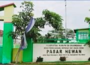 Antisipasi Penyebaran PMK, Pemkab Bojonegoro Perpanjang Penutupan Pasar Hewan