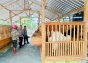 Peran Polsek Dander dalam Mendukung Peternak Lokal