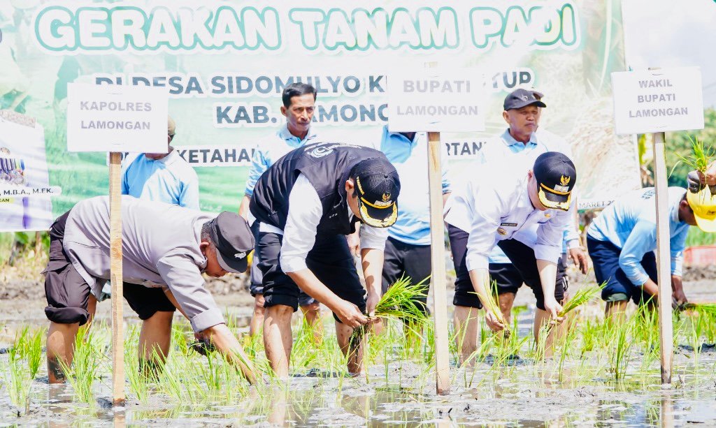 627bb58c 27d1 4302 b6ff 3dfd3124633b