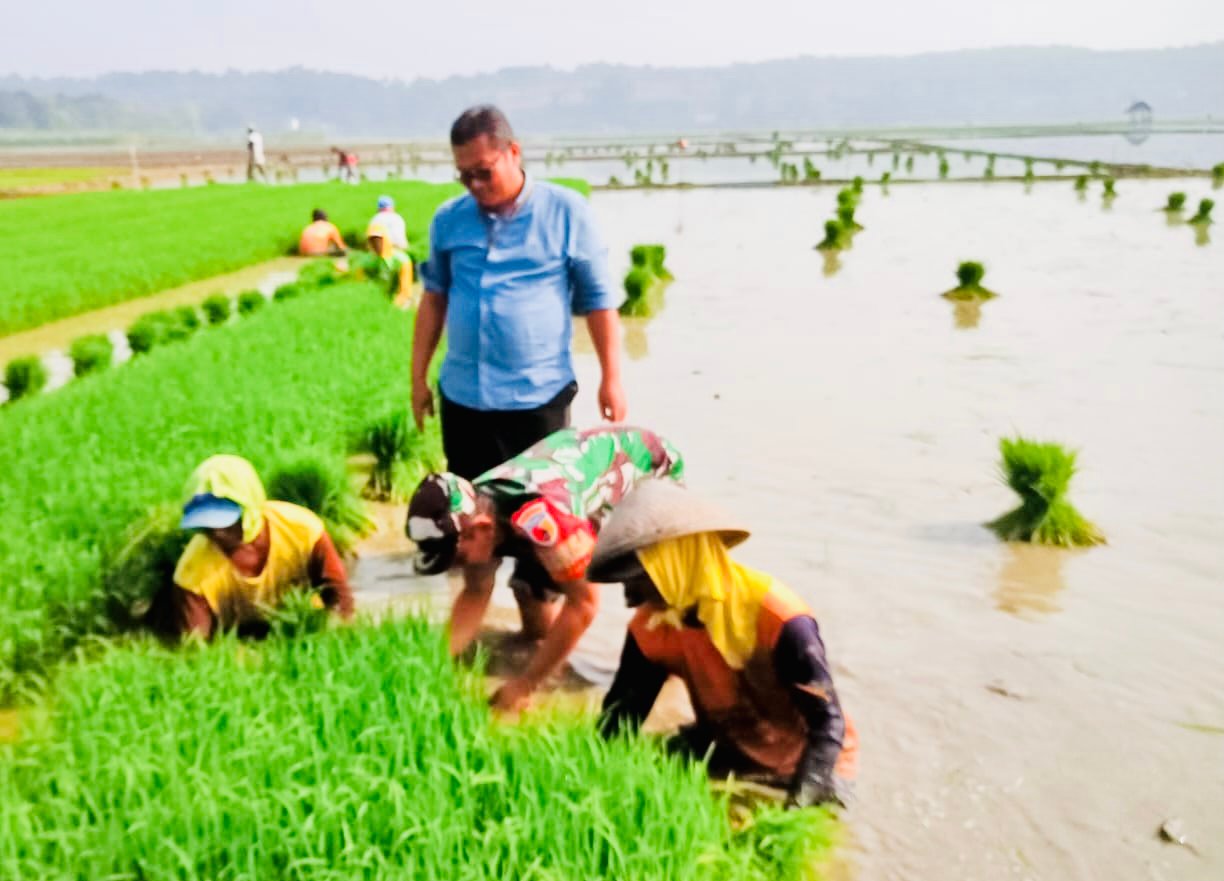 9d9f1065 9f12 4e78 9f46 efcd58198eed