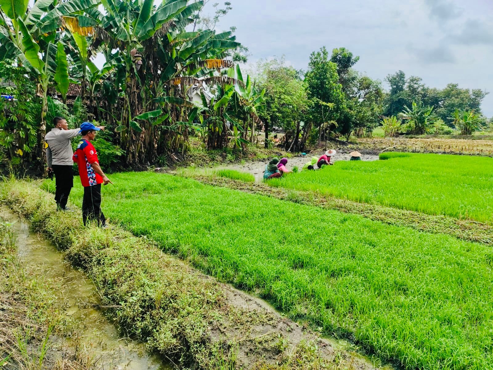 D7c834e5 7098 4170 a54b 617b2f5af552