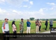 Pendampingan Tim Bulog oleh Babinsa Tambakrejo Bojonegoro