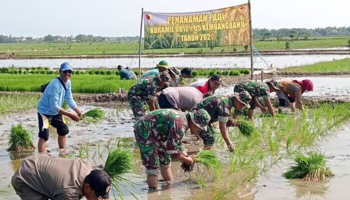 Kodim 0812 Lamongan Terus Bersinergi Mendukung Para Petani