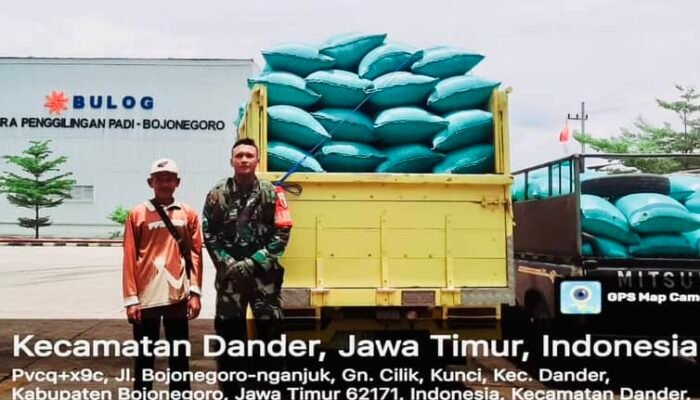 Pendampingan Panen Padi di Desa Padang Mentoyo oleh Babinsa