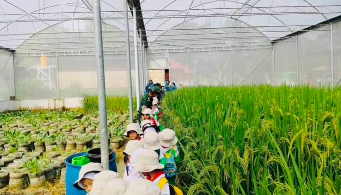 Siswa RA Nurul Ulum Belajar dari Alam di Kampung Pandu