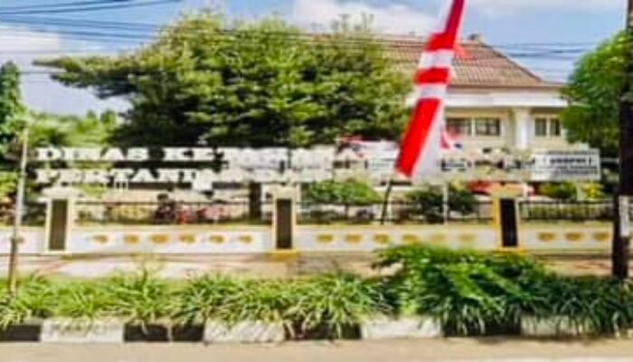 Dinas Pertanian Tuban Sat-Set Tindak Tegas Terkait Kios Pupuk Bersubsidi Melebihi HET di Tambakboyo