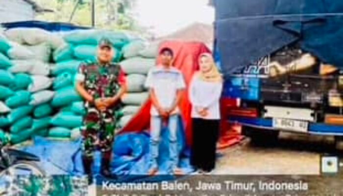 Babinsa Balen Kawal Distribusi 20 Ton Gabah ke Gudang Bulog