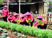 Bhayangkari Cabang Bojonegoro Laksanakan Panen Sayuran