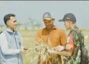 Komitmen Bulog dalam Mendukung Ketahanan Pangan Nasional