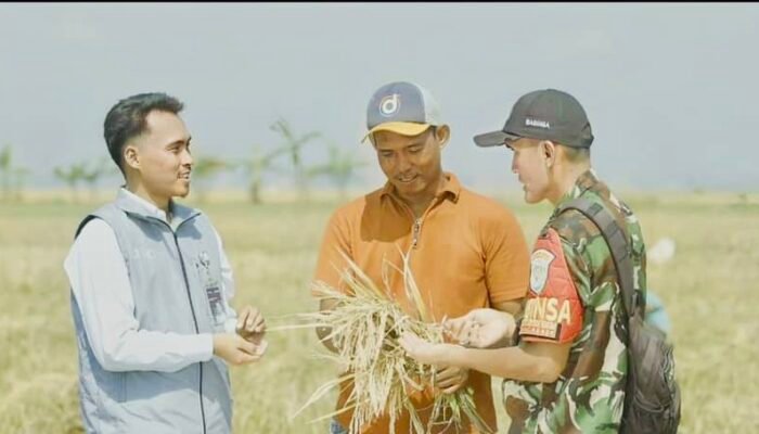 Komitmen Bulog dalam Mendukung Ketahanan Pangan Nasional