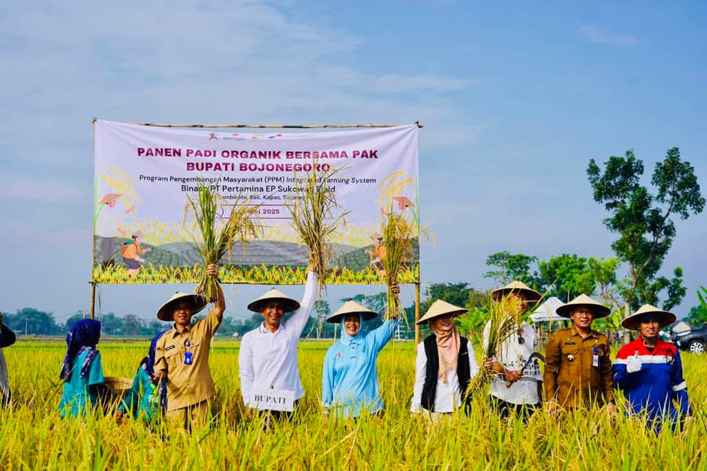 480805fb 592d 483e b14b 47a125961f67