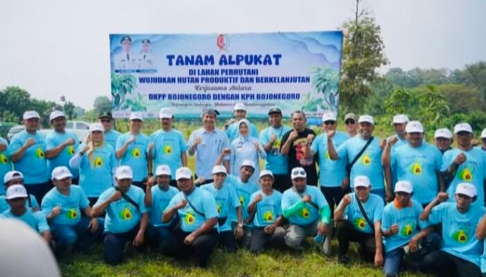 Bupati Bojonegoro Tanam Alpukat untuk Hutan Produktif dan Lingkungan Lebih Lestari