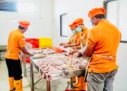 Kerja Sama Antara Pemkab Lamongan dan CV Ratu Indonesia