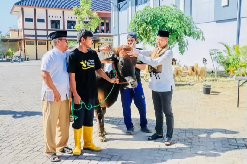 2c232698 6a5d 448b 84ce ad2aa3b4848c