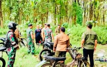 Dandim Bojonegoro Meninjau Lokasi Pembentukan Yon Tp Di Temayang