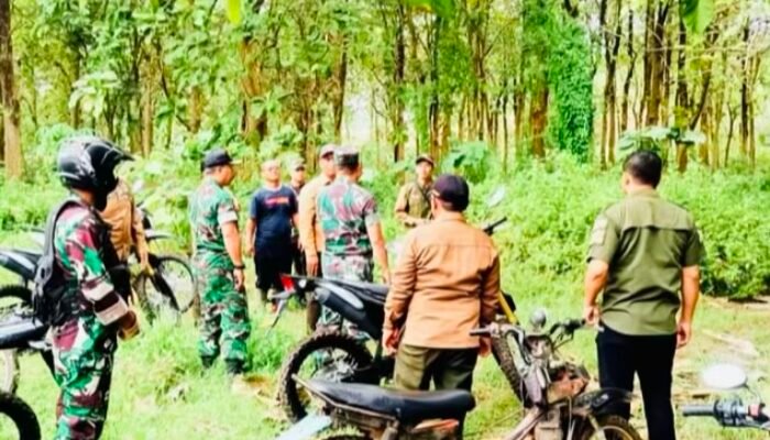 Dandim Bojonegoro Meninjau Lokasi Pembentukan Yon Tp Di Temayang