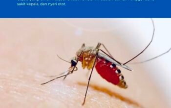 Waspadai Demam Dengue: Gejala dan Penanganan yang Perlu Diketahui