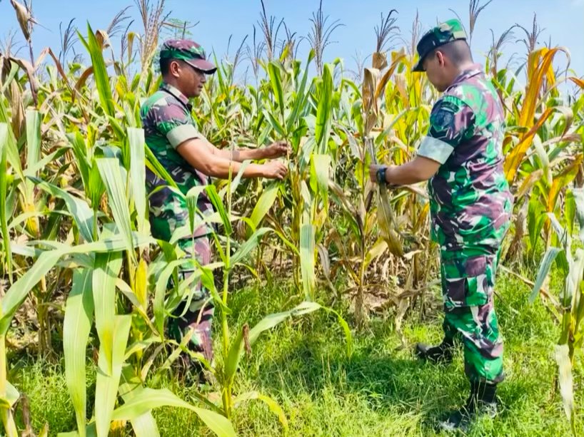 E6155a8b 8f91 41ad a01b 6f7ef18a7373