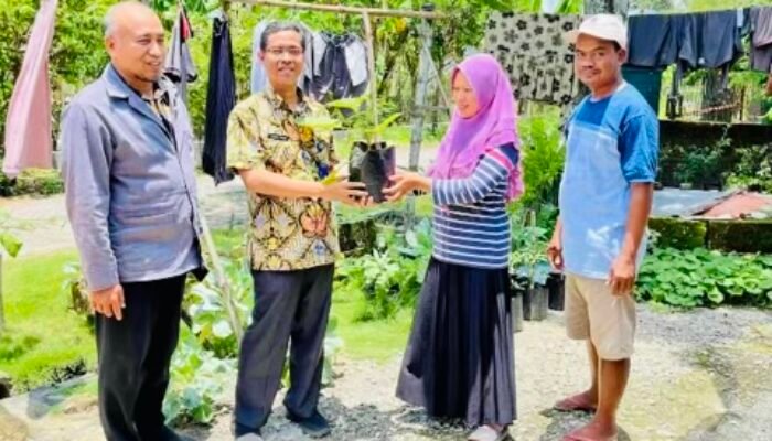 Bojonegoro Luncurkan Program Pembagian Bibit Sayur Gratis untuk Warga Prasejahtera