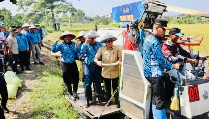 Panen Raya Padi dan Ikan Patin di Lapas Kelas IIB Lamongan