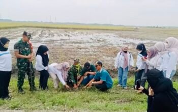 Sinergi TNI dan Masyarakat Dalam Mewujudkan Lingkungan Bersih di Lamongan