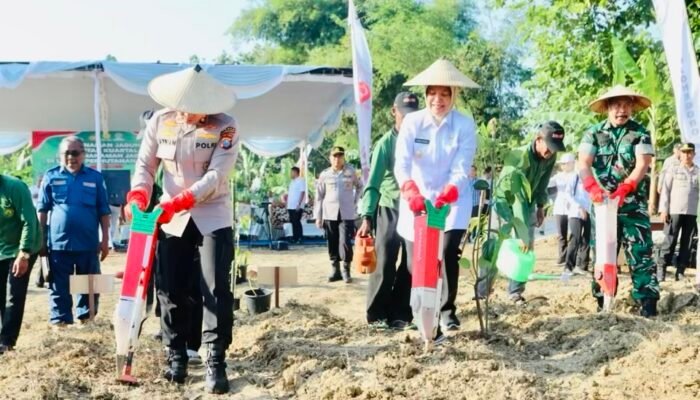 Penkab Bojonegoro Mengikuti Program Swasembada Pangan 2025, Penanaman Jagung Serentak