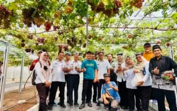 Pertanian Modern di Desa Kenep, Wisata Edukasi Menginspirasi