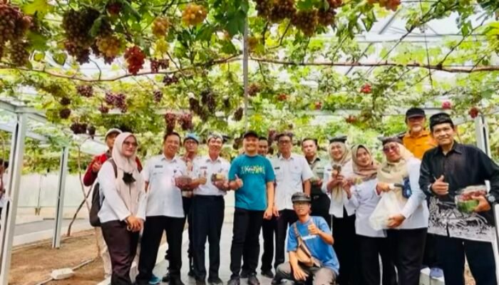 Pertanian Modern di Desa Kenep, Wisata Edukasi Menginspirasi