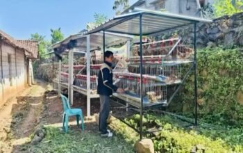 Manfaat Program Gayatri bagi Masyarakat Desa Klino