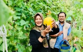Wabup Bojonegoro Dorong HKTI Berinovasi untuk Ketahanan Pangan