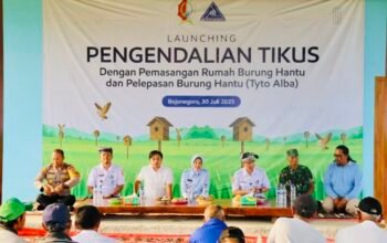 Tingkatkan Panen, Wakil Bupati Bojonegoro Lepaskan Burung Hantu sebagai Pengendali Hama Tikus