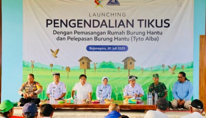 Tingkatkan Panen, Wakil Bupati Bojonegoro Lepaskan Burung Hantu sebagai Pengendali Hama Tikus