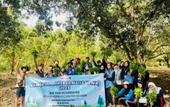 Program Kerja KKM IKIP PGRI Bojonegoro: Mahasiswa dan Petani Kolaborasi Tanam 1.000 Bibit Cabai
