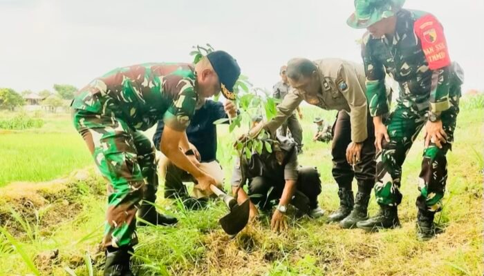 Kolaborasi TNI & Warga: 3.200 Bibit Pohon Hijaukan Bojonegoro dalam Program TMMD