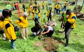 Mahasiswa KKN-TK 20 Universitas Bojonegoro Lakuan Penanaman Pohon di Geopark Negeri Atas Angin