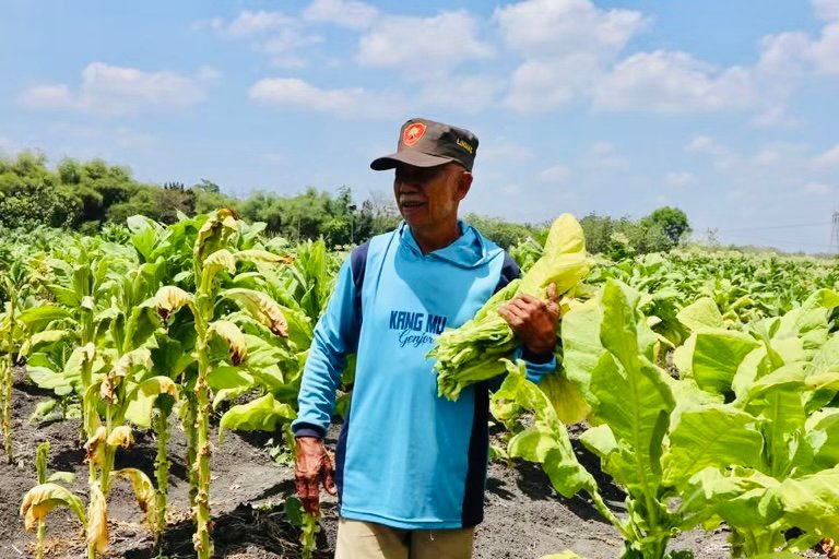 B7612f27 037d 4d2e bd4d b5701cfec537