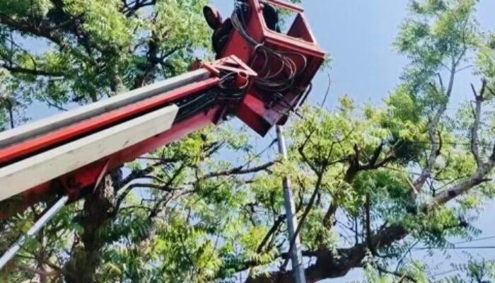 Penerangan Jalan Nasional di Bojonegoro Makin Terang dengan 290 Titik Lampu LED